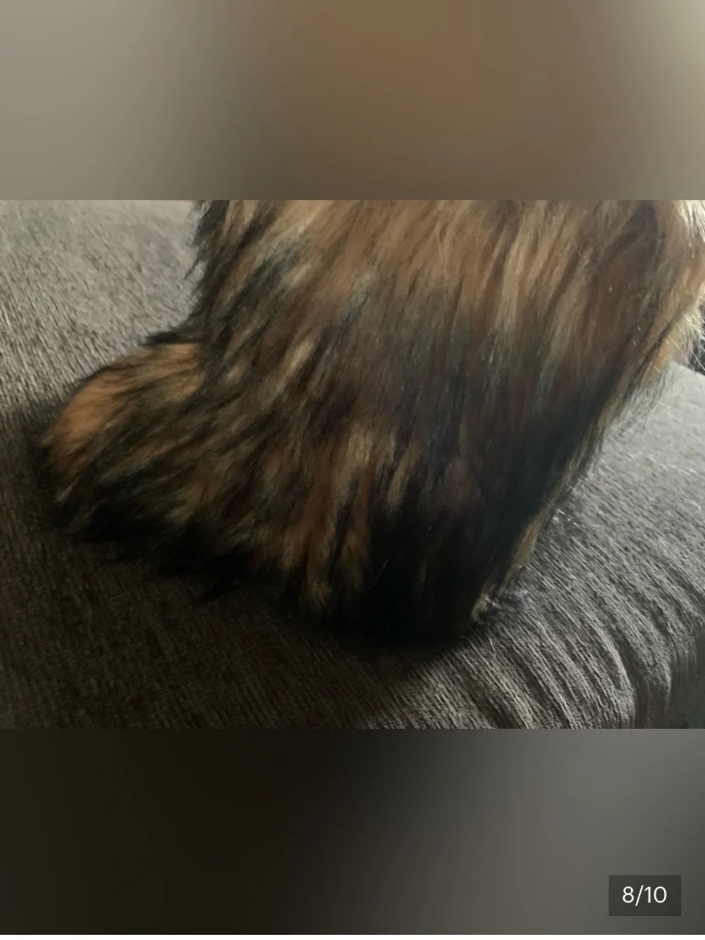Faux Fur Cozy Boot - Women's Stylish Winter Footwear